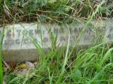 image of grave number 613597